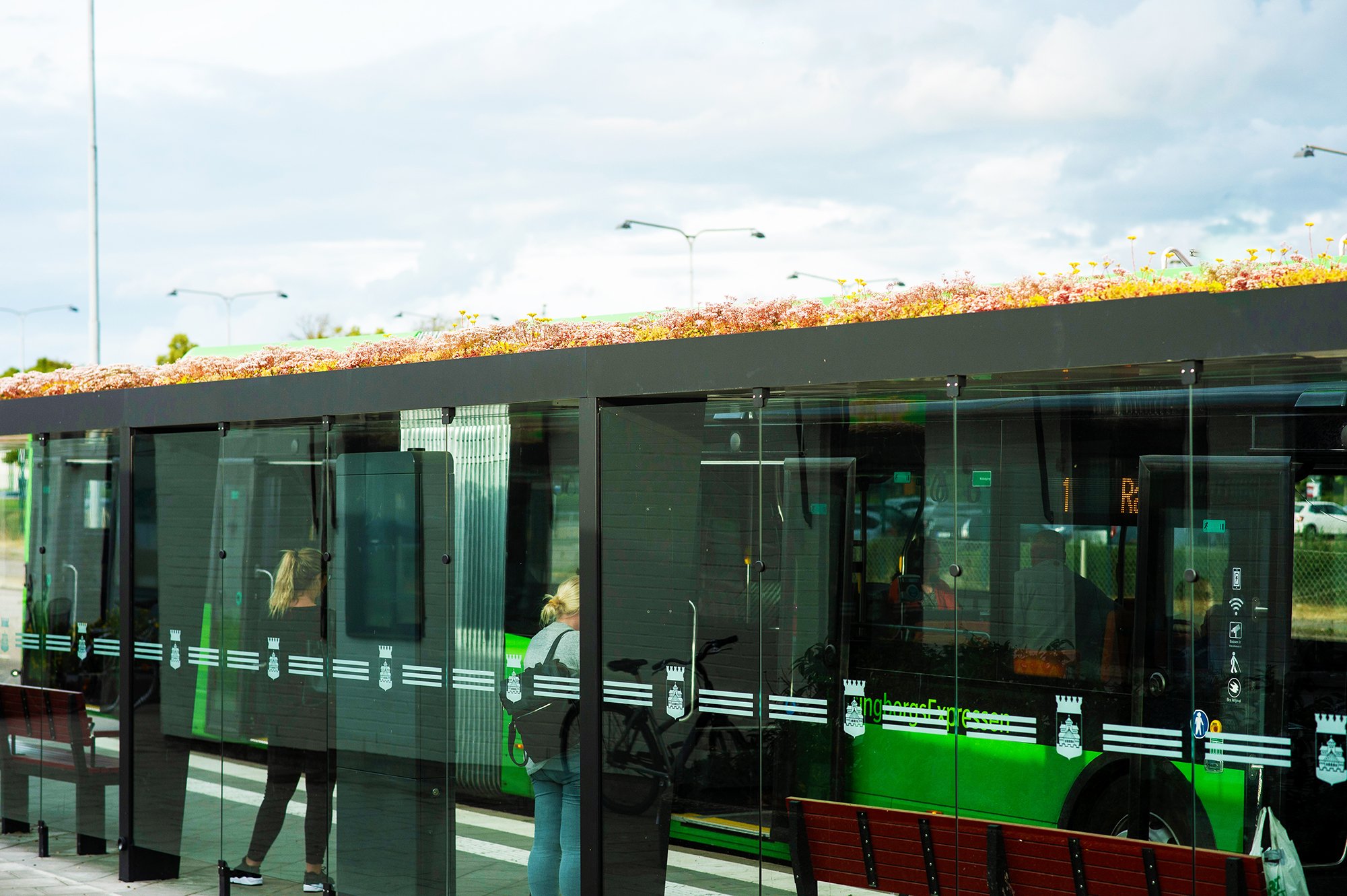 Green Sphere Roof detail