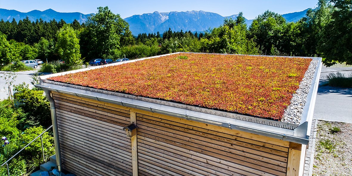 Green Sphere Roof