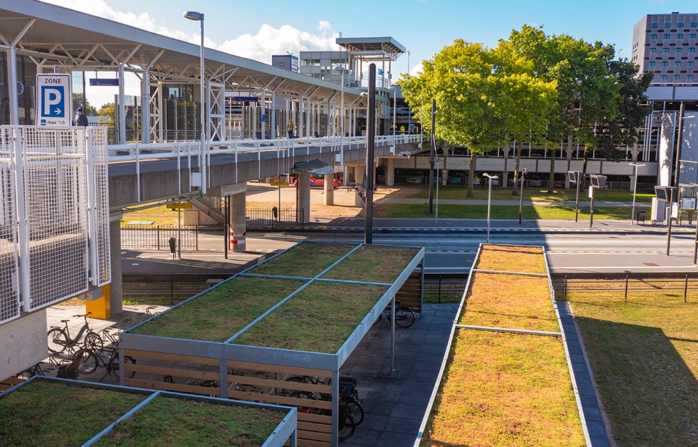 Green Sphere Roof detail