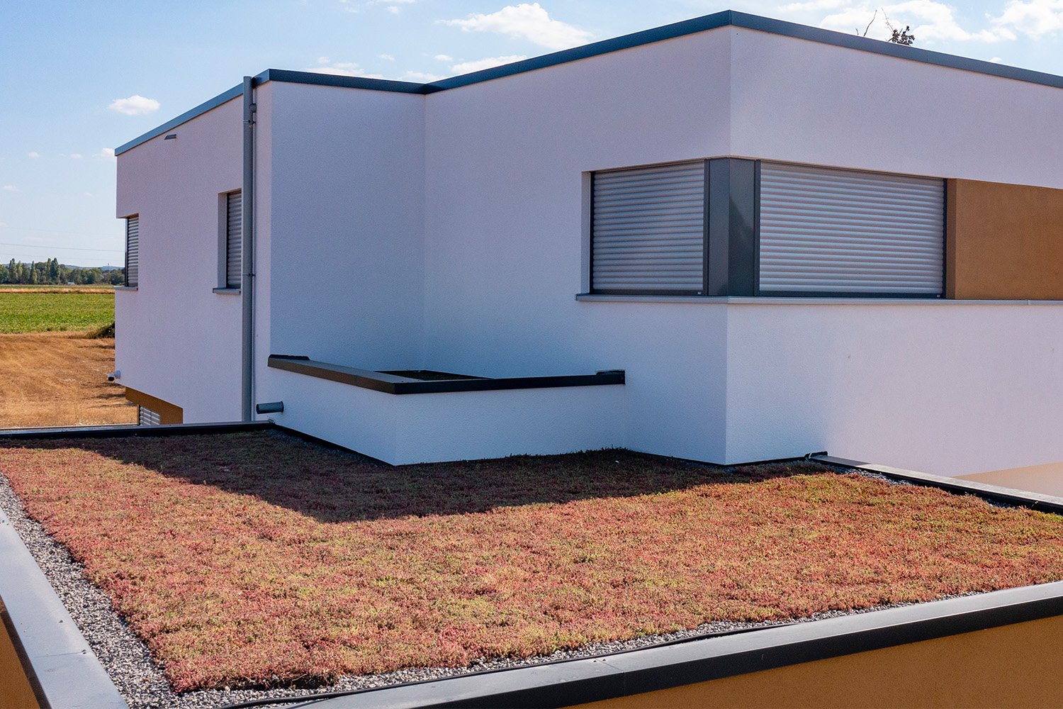 Green Sphere Roof detail
