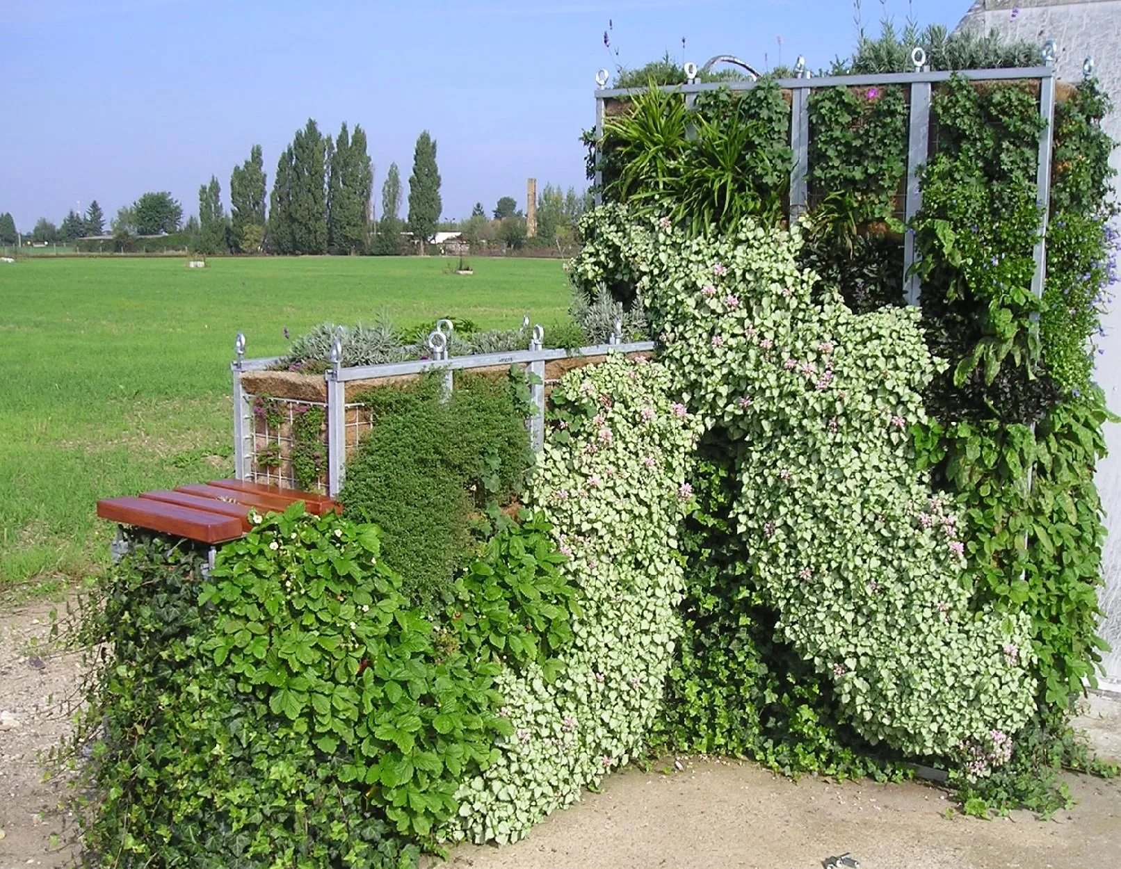 Pop-up Garden