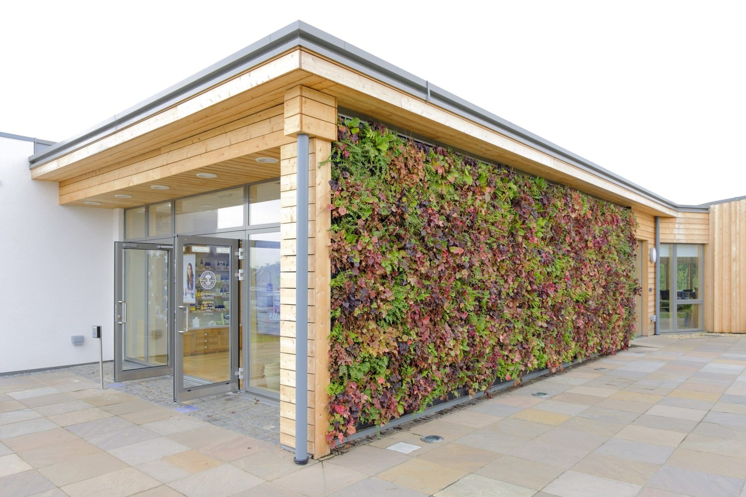 WallPlanter detail
