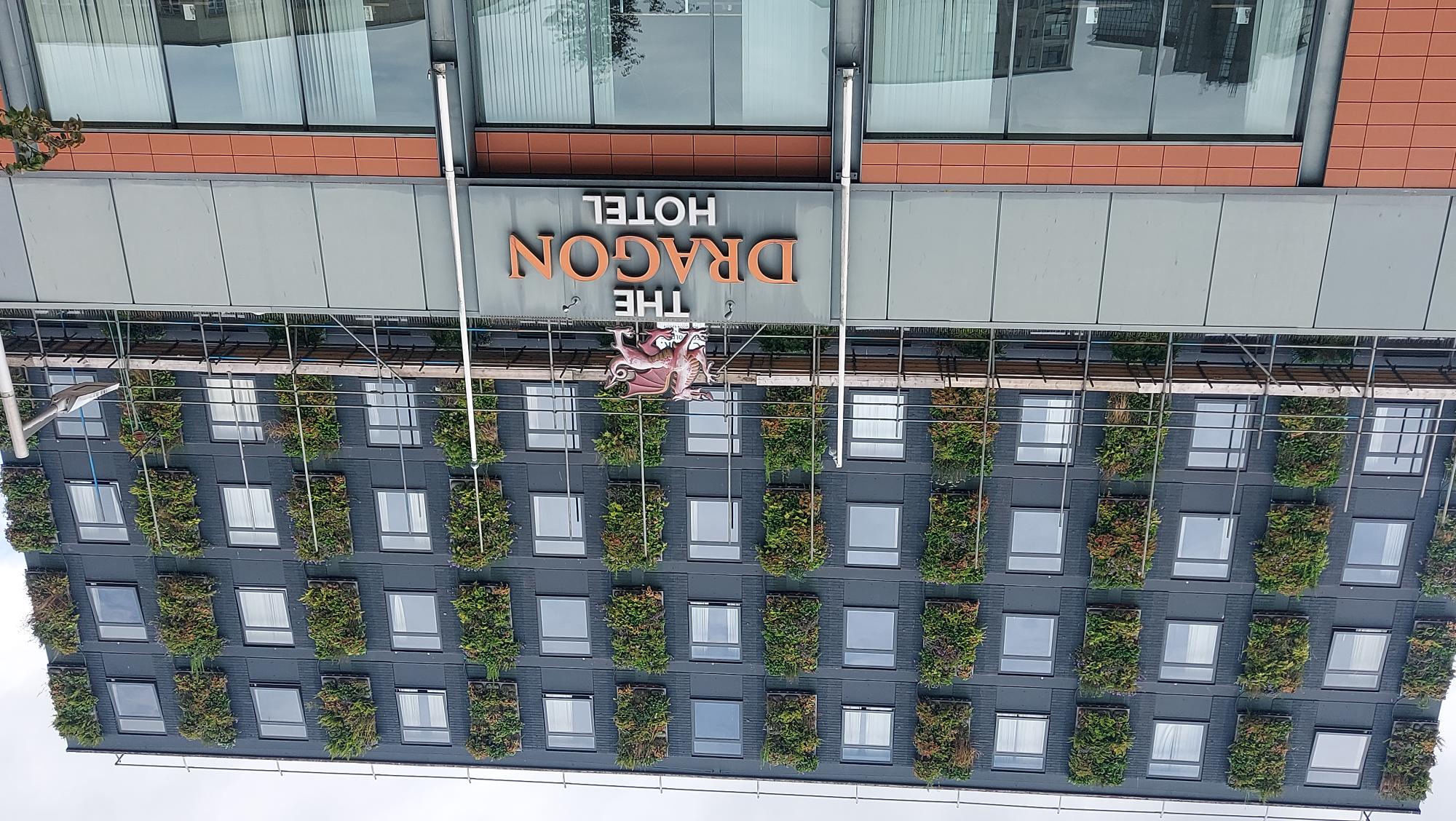 The Dragon Hotel green wall installation