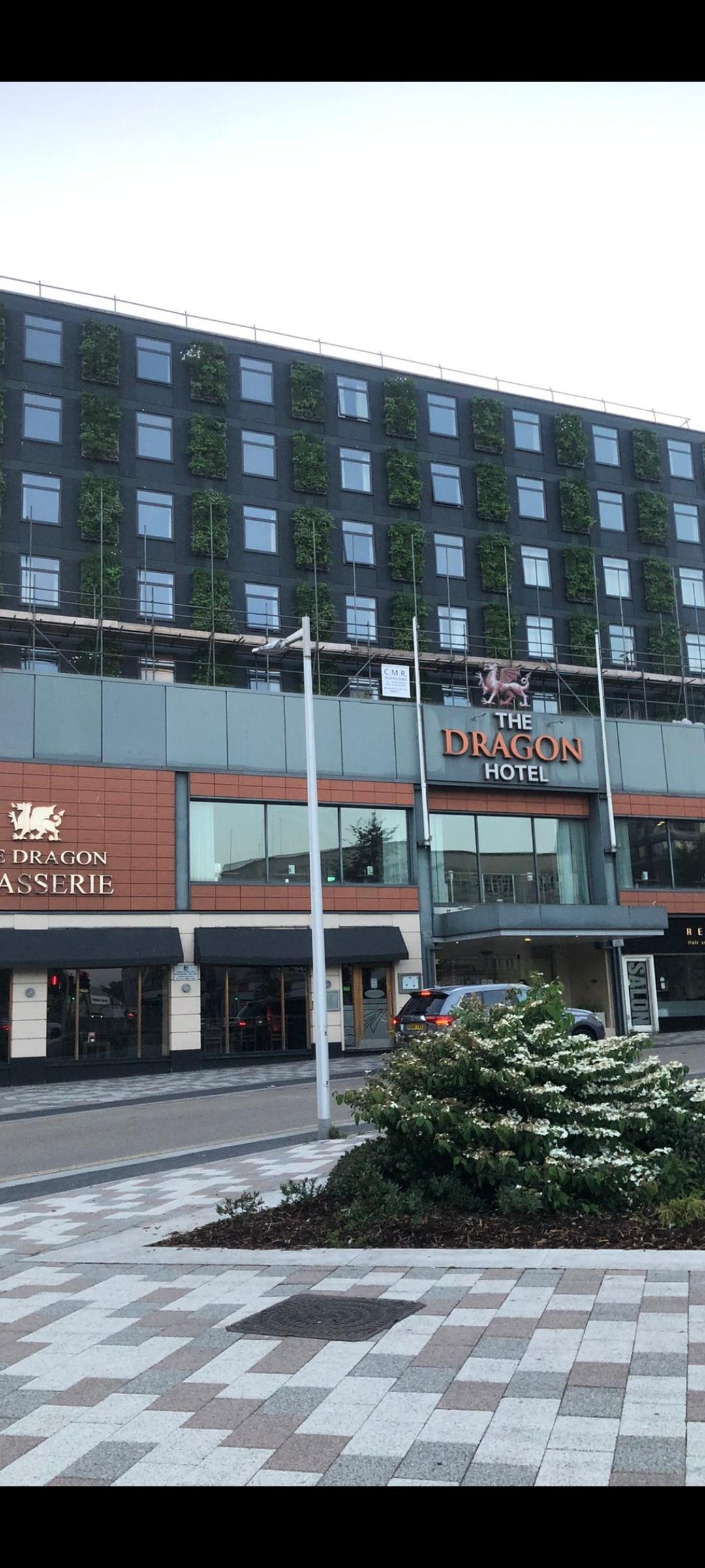 The Dragon Hotel green wall installation